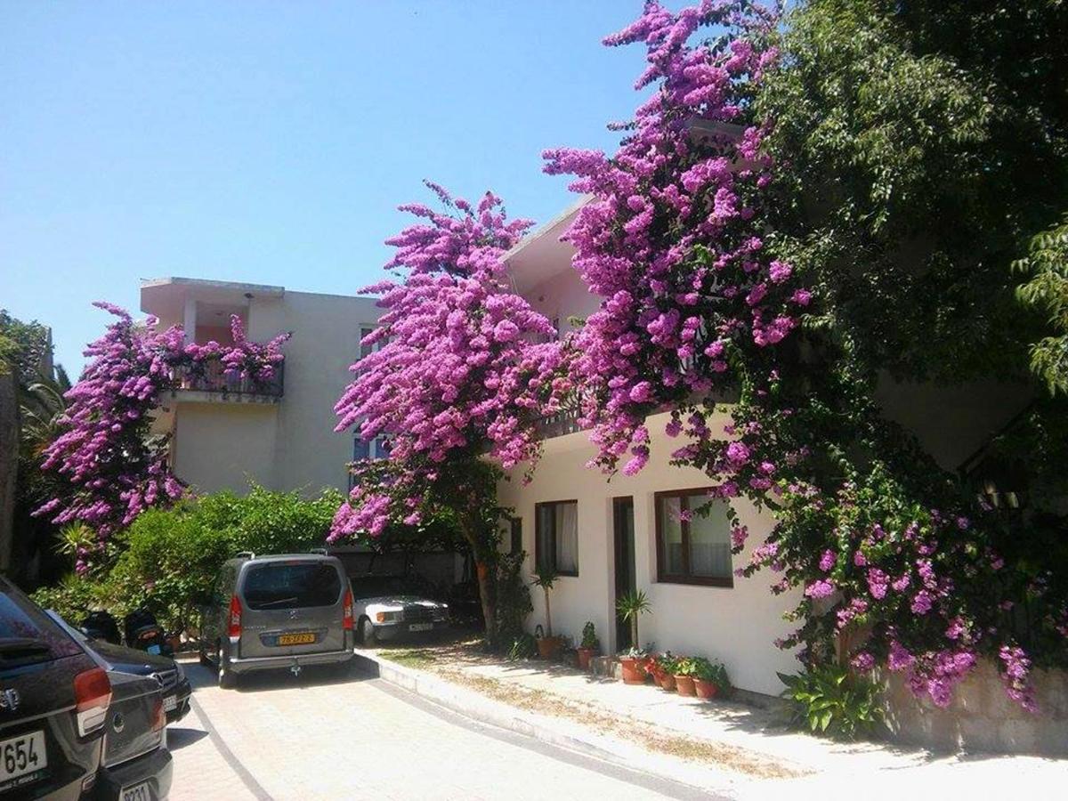 Apartments Martin Drvenik  Ngoại thất bức ảnh